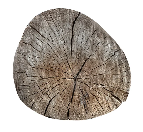 Ağaç gövdesi üst görünümü radyal çatlaklarla doğal ahşap dokusunu ve şeffaf arkaplanda yıllık büyüme halkalarını gösteriyor