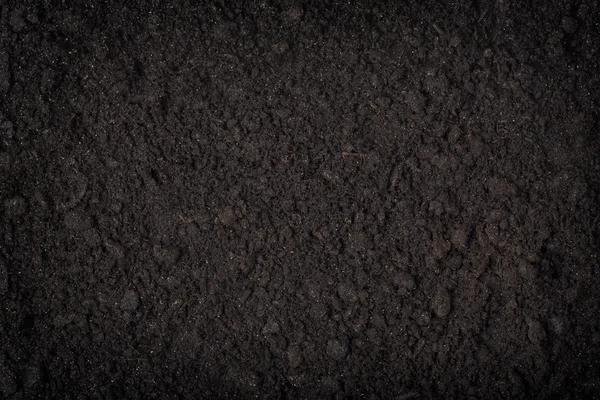 Close up of black soil — Stock Photo, Image