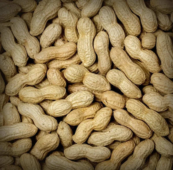 Ferver textura de amendoim — Fotografia de Stock