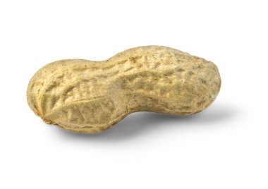 Fıstık beyazda izole edilmiş 