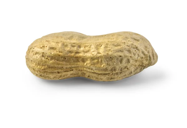 Peanut isolated on white — Stock Photo, Image