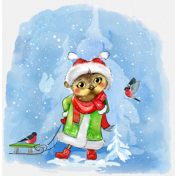 Cartão de inverno com coruja — Fotografia de Stock