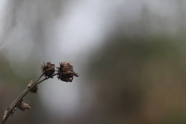 Egy jel közelsége. — Stock Fotó