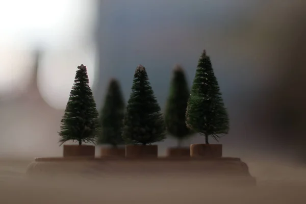 Рождественские елки на пьедестале с размытым фоном — стоковое фото