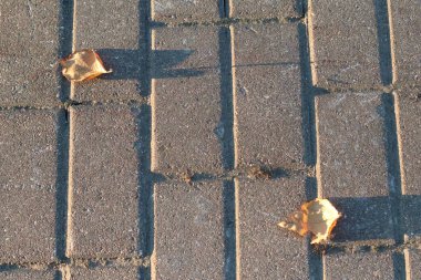 Bir tuğla binanın yakın çekimi.