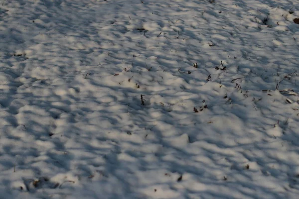 Ένα σμήνος πουλιών που πετούν πάνω από μια παραλία — Φωτογραφία Αρχείου