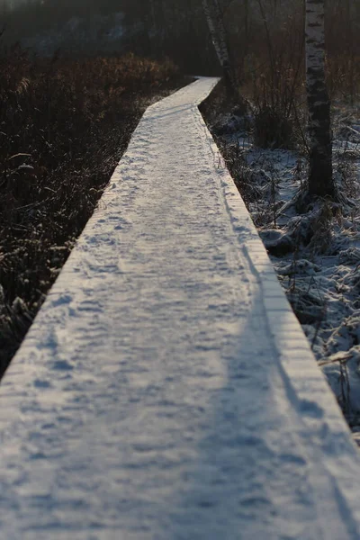 Cesta ve sněhu — Stock fotografie