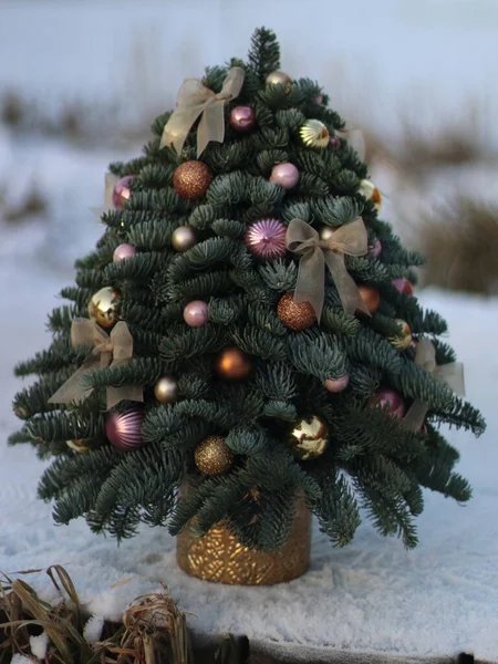 Ένα χριστουγεννιάτικο δέντρο καλυμμένο με χιόνι — Φωτογραφία Αρχείου