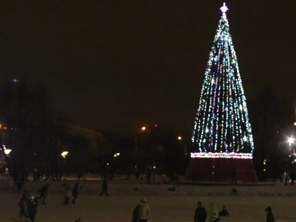 Большая рождественская елка ночью — стоковое фото
