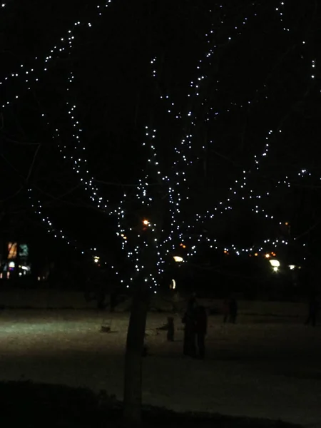 Ein Baum leuchtet in der Nacht — Stockfoto