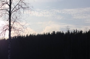 Bir tabelanın yakın çekimi