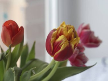 Masadaki vazoda bir buket çiçek.