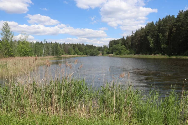 Ein Schild am Ufer eines Flusses — Stockfoto