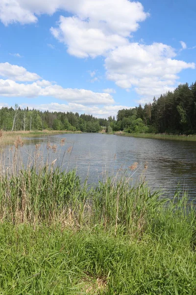 Un specchio d'acqua di fronte ad un lago — Foto Stock