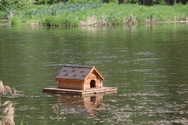 Sudaki ördeklerin evi.