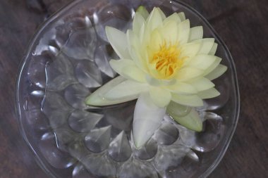 Kristal vazoda beyaz su zambağı