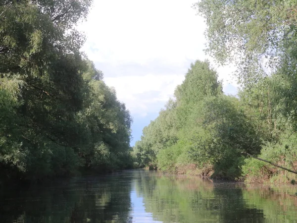 Vista do meio do rio com árvores ao longo das margens — Fotografia de Stock