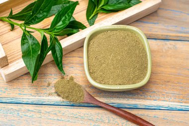 Andrographis panikleme bitkisi ve Andrographis panikleme tozu, geleneksel Tayland bitkileri..