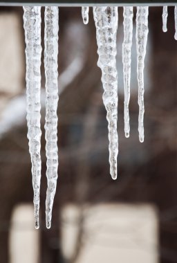 Icicle'ı Eve