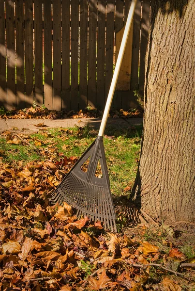 Absackung von Herbstlaub — Stockfoto