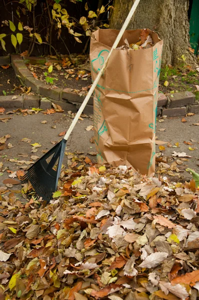 Absackung von Herbstlaub — Stockfoto