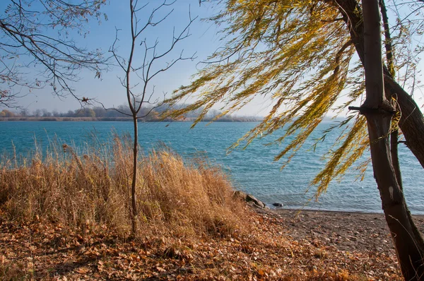 Parque Riverfront — Foto de Stock