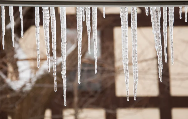 Icicle Eve — Stock Photo, Image