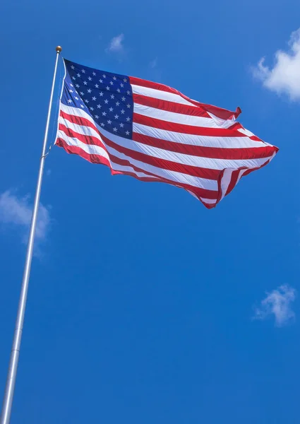 公園の米国の旗 — ストック写真