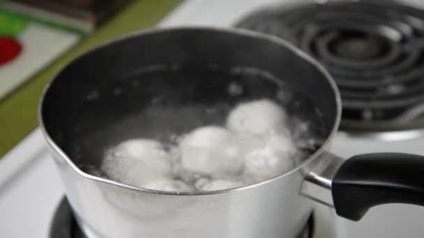 Boiling Eggs Time — Stock Video
