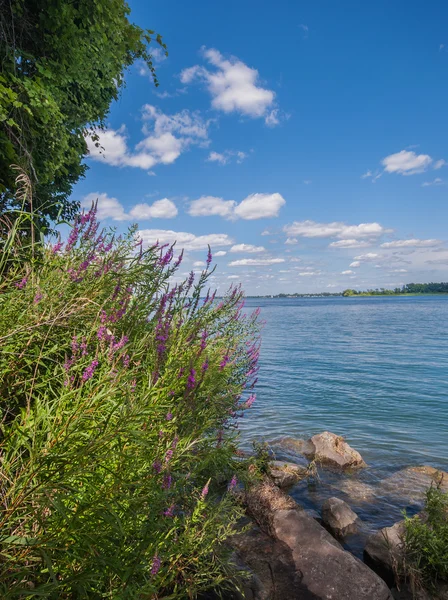 Літня хмара пейзаж — стокове фото