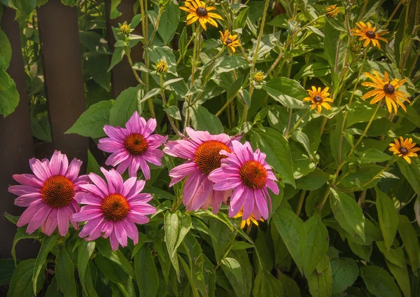 Valla de jardinería —  Fotos de Stock