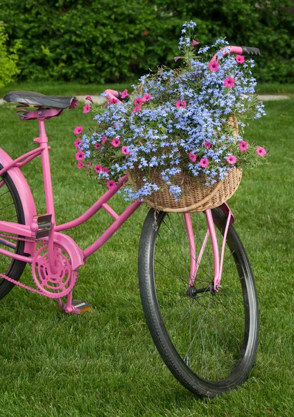 院子里装饰自行车花 — 图库照片