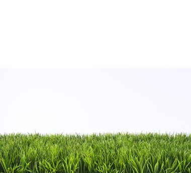 Bahar Yaz Lawncare