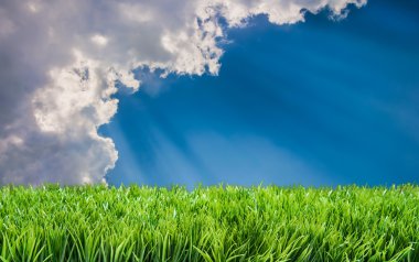 Bahar Yaz Lawncare
