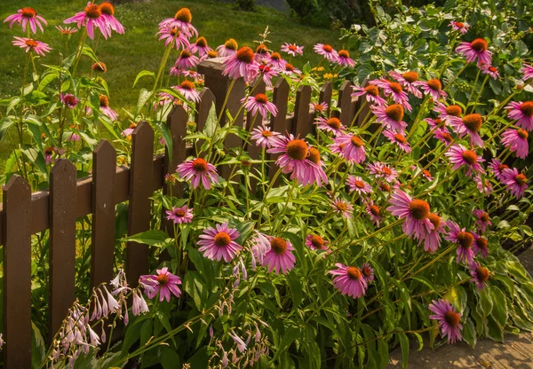 Valla de jardinería —  Fotos de Stock