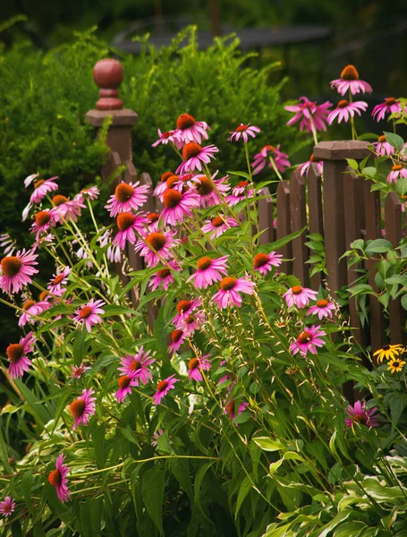 Valla de jardinería —  Fotos de Stock