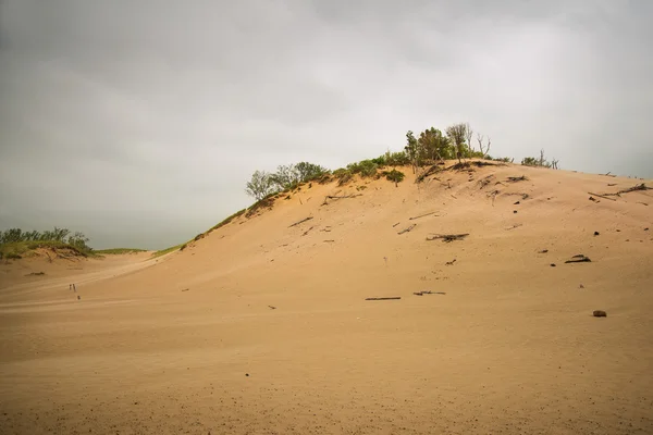 Sand Hills at Warren Dunes Park — Stock Photo, Image