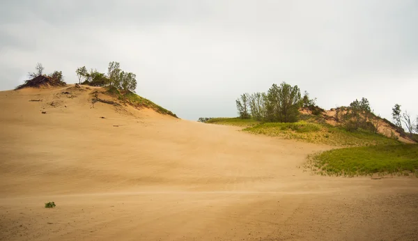 Sand Hills at Warren Dunes Park — Stock Photo, Image