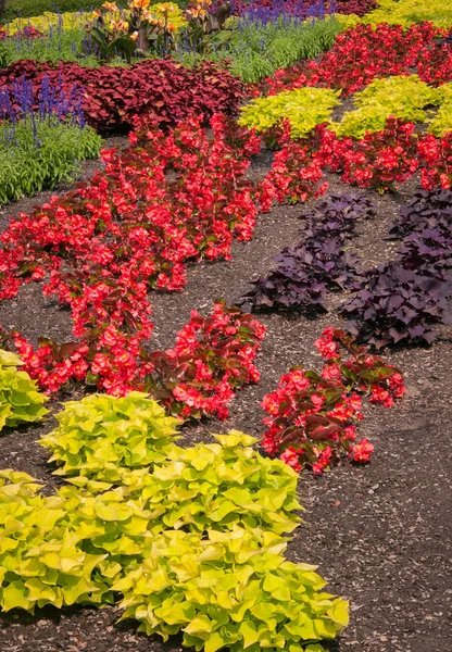 Valla de jardinería —  Fotos de Stock