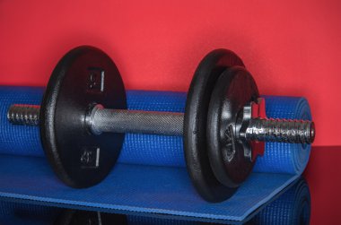 Demir halter egzersiz