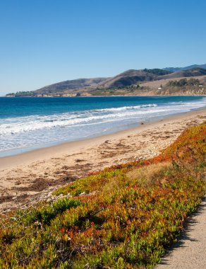 California Beach Shoreline