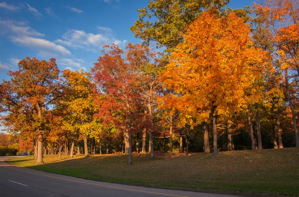 Michigan Fall Colors — Stock Photo, Image