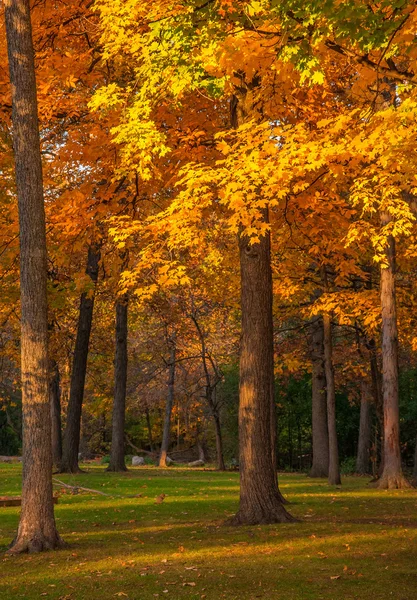 Michigan Fall Colors — Stock Photo, Image