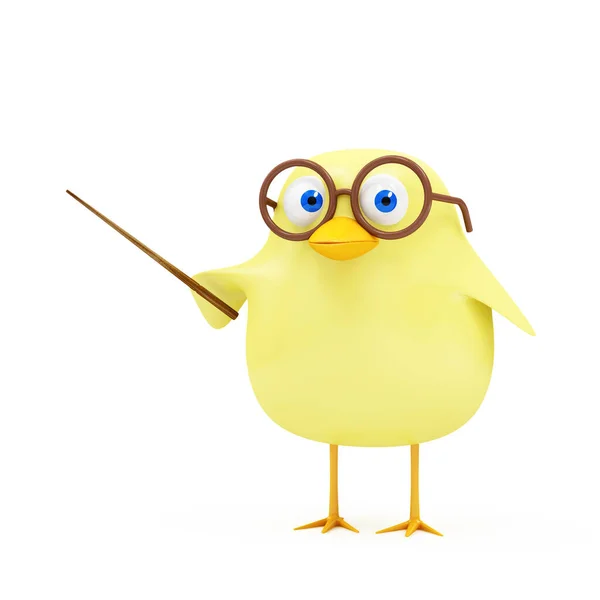 Cartoon Funny Little Chicken Teacher School Pointer Isolated White Background — Stock Photo, Image