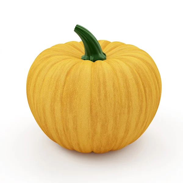 Pumpkin isolated on white — Stock Photo, Image