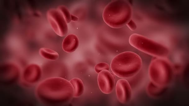 Animation des globules rouges 
