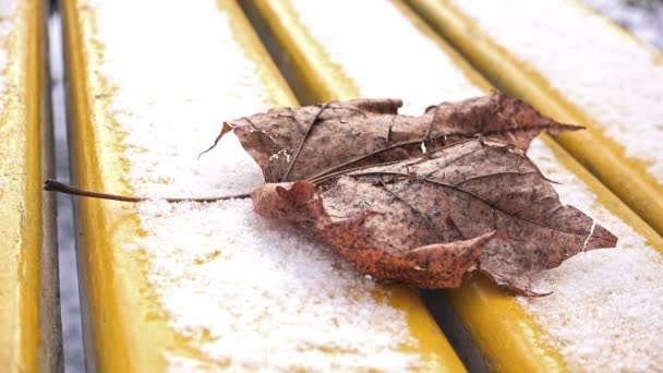 Feuilles tombées — Video