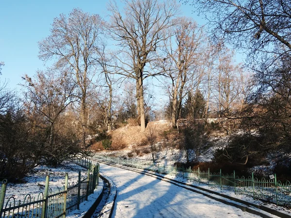 Parque de invierno —  Fotos de Stock