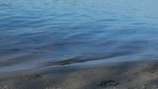 Rivier golven gewonnen op het strand — Stockvideo