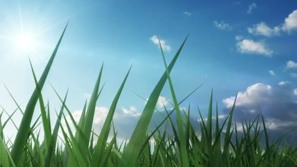 Green Grass with Flowing Clouds — Stock Video